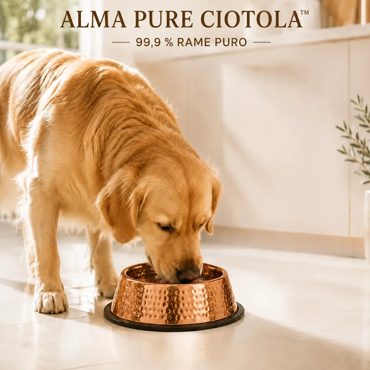 Ciotola Alma Pure™ in rame puro al 99,9% per cani e gatti