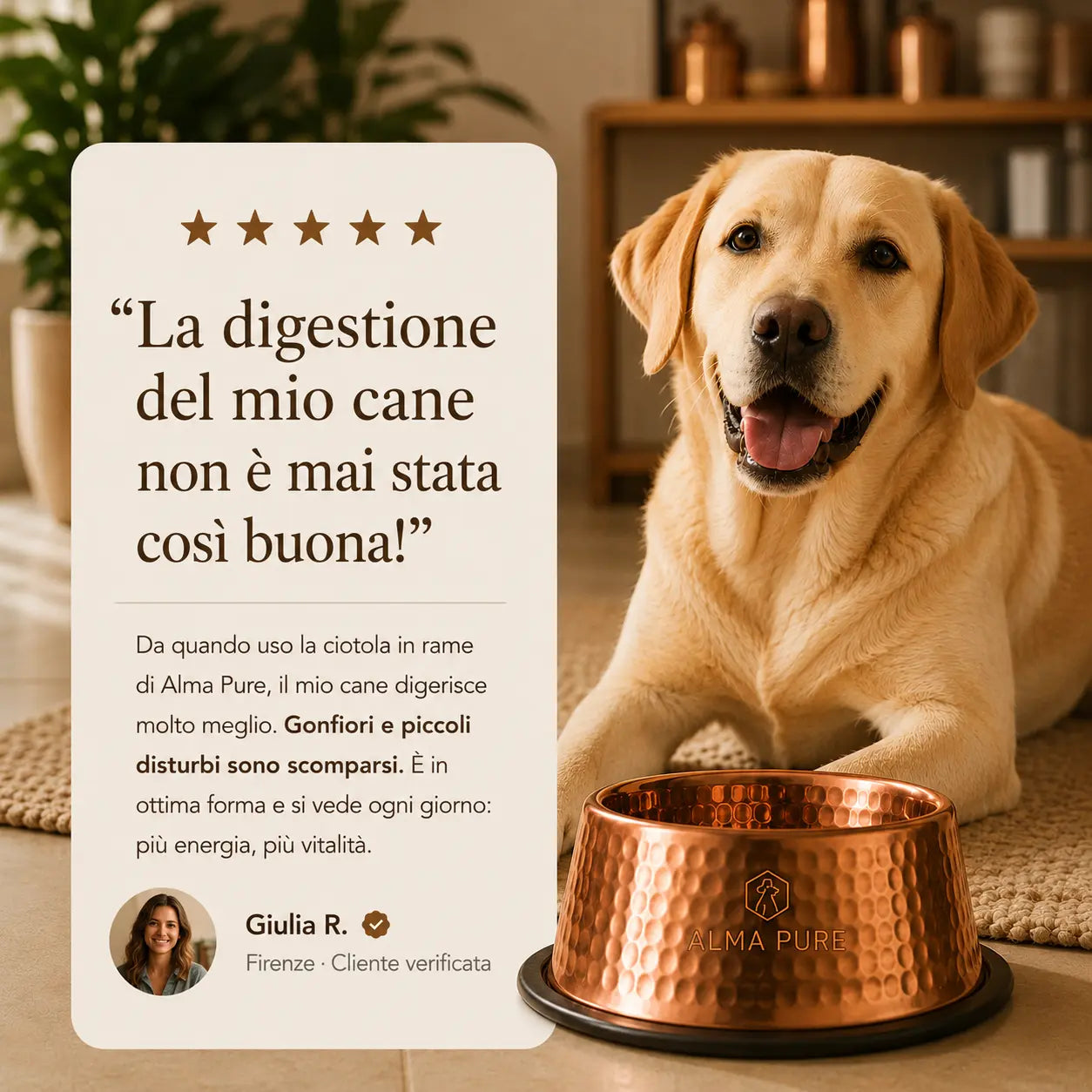 Ciotola Alma Pure™ in rame puro al 99,9% per cani e gatti